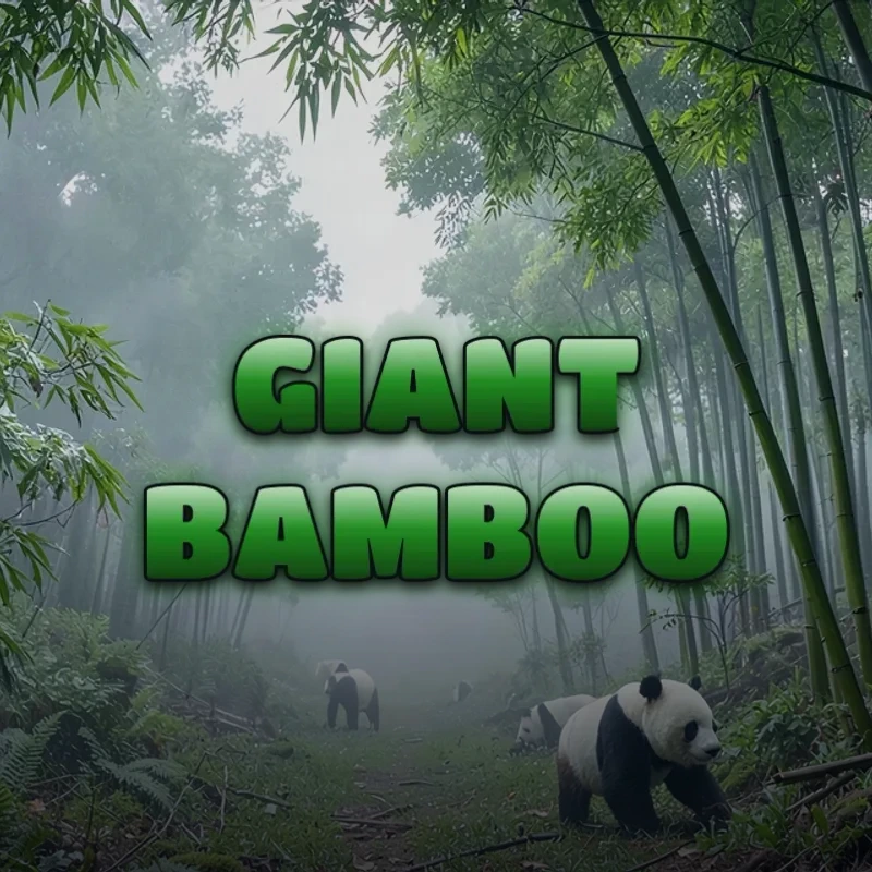 Giant Bamboo background