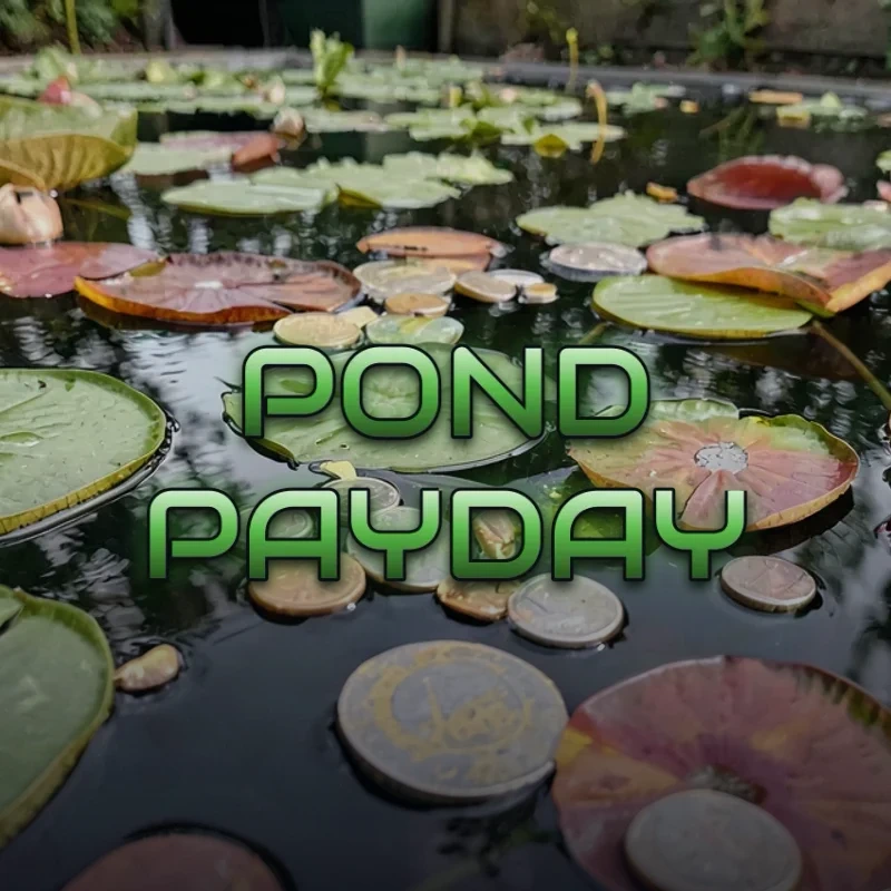 Pond Payday background