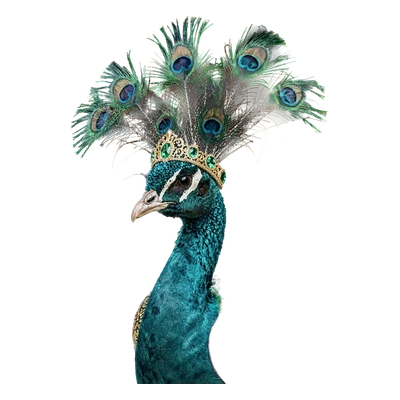 Mayura the Plumed
